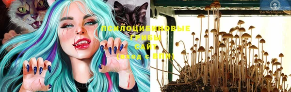 наркотики Алексеевка