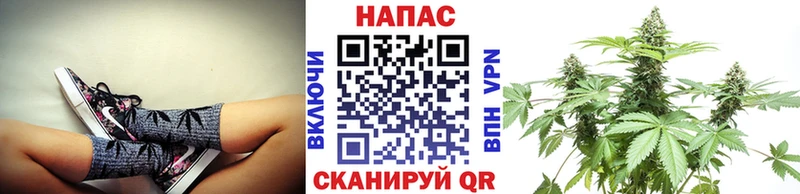 Конопля VHQ  darknet Telegram  Балабаново  hydra зеркало 